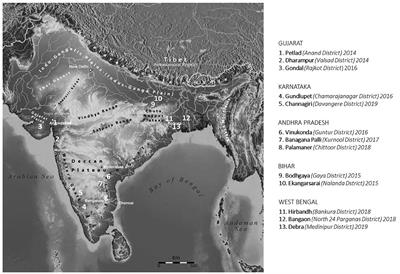 Neither Corporate, Nor Family: The Indian “Patronal” Farm